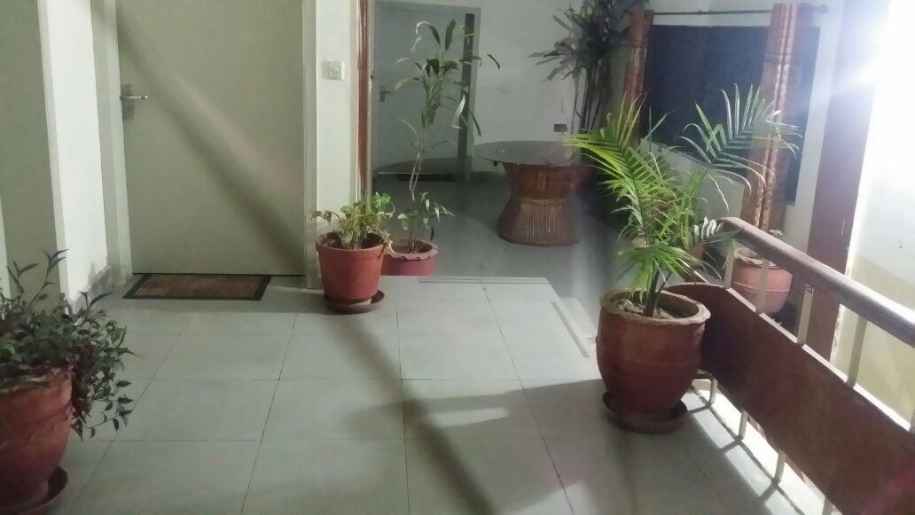 Pyramid International Guest House 伊斯兰堡 外观 照片